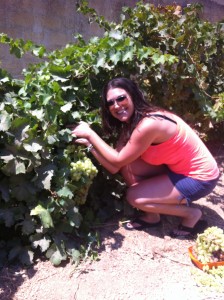 About to eat grapes off the vine.