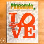Pineapple Love Mary jane