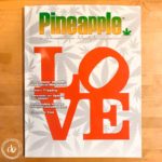 Pineapple Love Mary jane